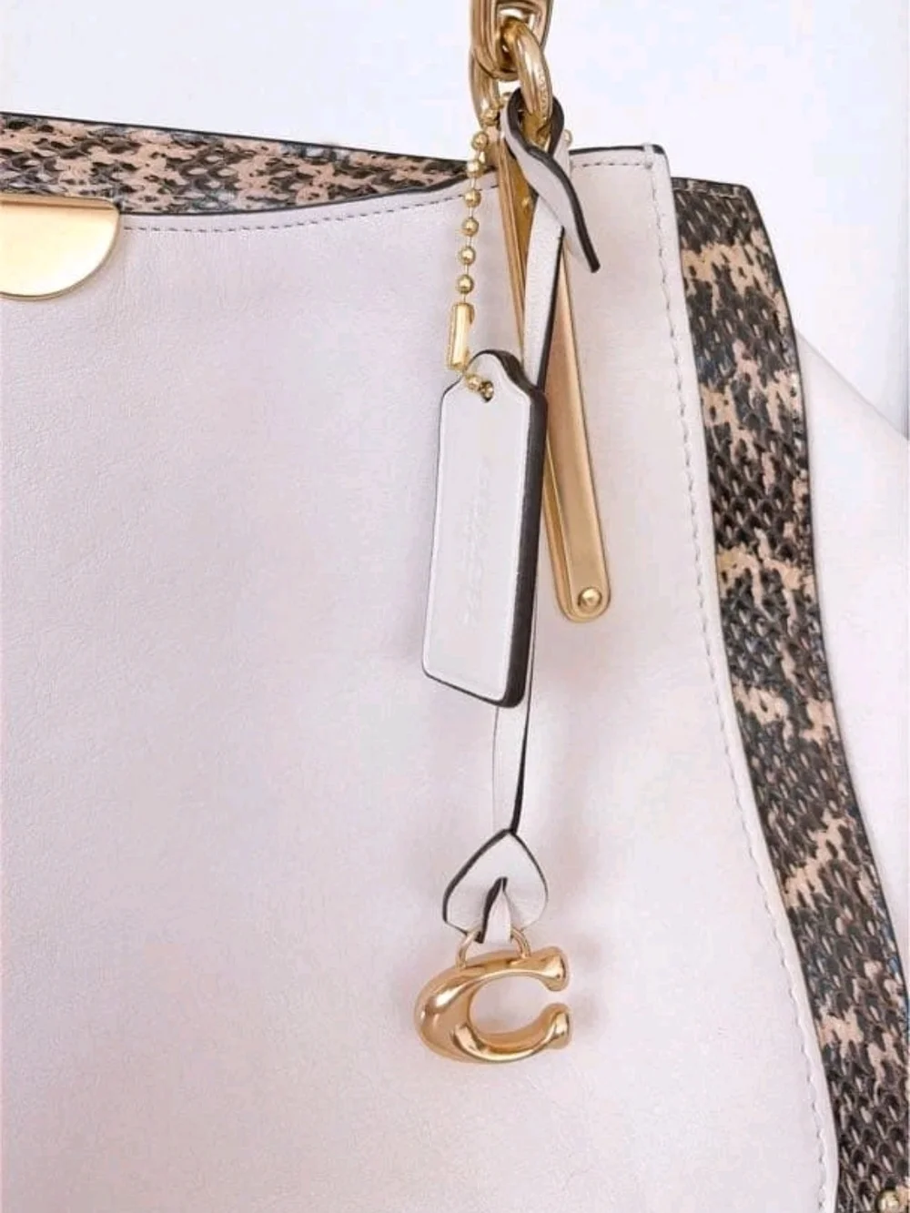Coach Dreamer 36 in Colorblock with Genuine Snakeskin Details